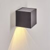 Lapeer Wandlamp op zonne-energie LED Zwart, 1-licht