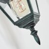 Naofe Buiten muurverlichting Groen, Zwart, 1-licht