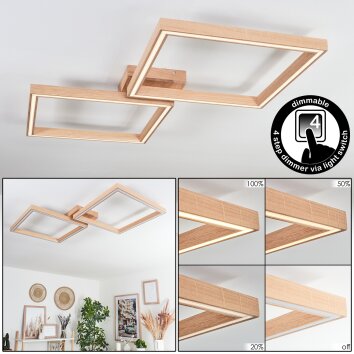 Surisultana Plafondlamp LED Natuurlijke kleuren, 2-lichts