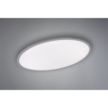 Trio TORRANCE Plafondlamp LED Titan, 1-licht