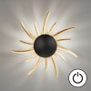 Fischer & Honsel Sol Muurlamp LED Zwart, 1-licht