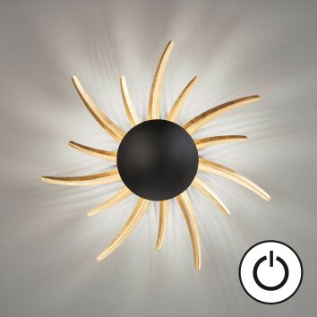 Fischer & Honsel Sol Muurlamp LED Zwart, 1-licht