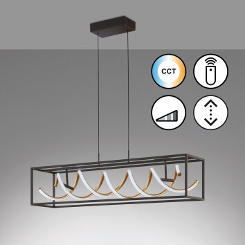 Fischer & Honsel Gian Hanglamp LED Zwart, 1-licht, Afstandsbediening