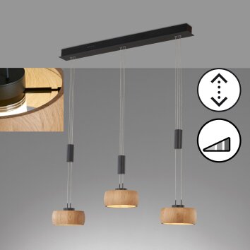 Fischer & Honsel SHINEWOOD Hanglamp LED Zwart, 3-lichts