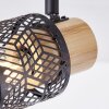 Brilliant Santy Plafondlamp Zwart, 4-lichts