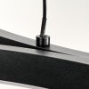 Fuliola Hanglamp LED Zwart, 1-licht