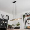 Fuliola Hanglamp LED Zwart, 1-licht