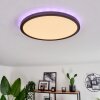 Boyero Plafondpaneel LED Zwart, 2-lichts, Afstandsbediening, Kleurwisselaar