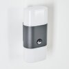 Belerda Buiten muurverlichting LED Antraciet, 2-lichts, Bewegingsmelder