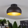Guayo Plafondlamp Zwart, 1-licht