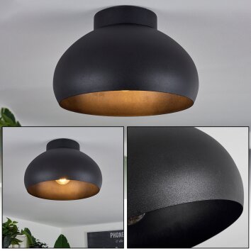 Guayo Plafondlamp Zwart, 1-licht