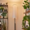 Coquimbito Staande lamp LED Zwart, 1-licht