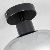 Boudry Plafondlamp Zwart, 1-licht