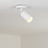 Aketohoin Buitenshuis plafond verlichting LED Wit, 1-licht