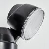 Anyarhwi Buiten muurverlichting LED Zwart, 2-lichts, Bewegingsmelder