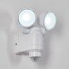 Anyarhwi Buiten muurverlichting LED Wit, 2-lichts, Bewegingsmelder