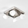Newborn Plafondlamp LED Donkerbruin, Nikkel mat, 4-lichts, Afstandsbediening, Kleurwisselaar