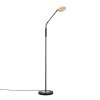 Fischer & Honsel Dent Staande lamp LED Zwart, 1-licht