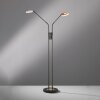 Fischer & Honsel Dent Staande lamp LED Zwart, 2-lichts