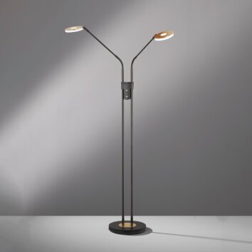 Fischer & Honsel Dent Staande lamp LED Zwart, 2-lichts