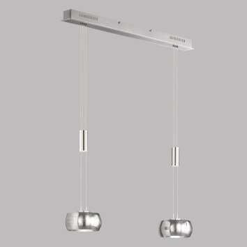 Fischer & Honsel Colette Hanglamp LED Nikkel mat, 2-lichts