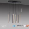 Paul Neuhaus FLUTE Hanglamp LED Zwart, 10-lichts