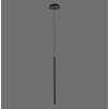 Paul Neuhaus FLUTE Hanglamp LED Zwart, 1-licht