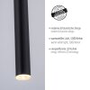 Paul Neuhaus FLUTE Hanglamp LED Zwart, 1-licht