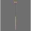 Paul Neuhaus FLUTE Hanglamp LED Goud, 1-licht