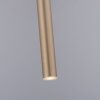 Paul Neuhaus FLUTE Hanglamp LED Goud, 1-licht