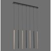 Paul Neuhaus FLUTE Hanglamp LED Zwart, 7-lichts