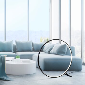 Paul Neuhaus HULA Staande lamp LED Zwart, 1-licht, Afstandsbediening