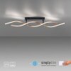 Paul Neuhaus POLINA Plafondlamp LED Zwart, 1-licht