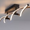 Paul Neuhaus POLINA Plafondlamp LED Zwart, 1-licht
