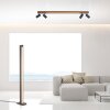 Paul Neuhaus PURELINES Staande lamp LED Natuurlijke kleuren, 1-licht, Afstandsbediening
