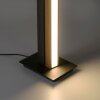 Paul Neuhaus PURELINES Staande lamp LED Natuurlijke kleuren, 1-licht, Afstandsbediening