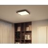 Philips Hue Aurelle Plafondpaneel LED Zwart, Wit, 1-licht