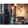 Philips Hue E27 LED 7 watt 2100 Kelvin 550 Lumen