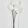 Bernado Staande lamp Zwart, 5-lichts