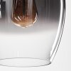 Vevino Hanglamp Glas 20cm Duidelijk, Rookkleurig, 4-lichts