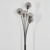 Bernado Staande lamp Zwart, 5-lichts
