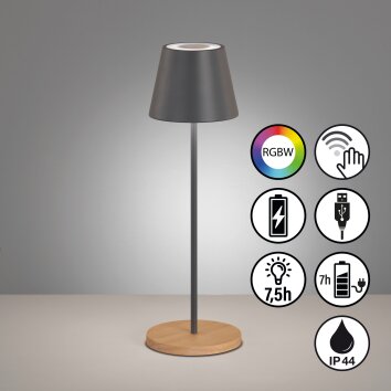 FHL easy Cosenza Tafellamp LED Grijs, Natuurlijke kleuren, 1-licht, Kleurwisselaar