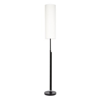 Coquimbito Staande lamp LED Zwart, 2-lichts