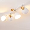 Banjul Plafondlamp Hout licht, Wit, 4-lichts