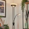 Biot Staande lamp LED Zwart, 2-lichts