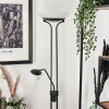Biot Staande lamp LED Zwart, 2-lichts