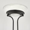 Biot Staande lamp LED Zwart, 2-lichts