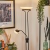Biot Staande lamp LED Zwart, 2-lichts
