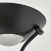 Biot Staande lamp LED Zwart, 2-lichts