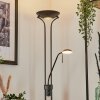 Biot Staande lamp LED Zwart, 2-lichts